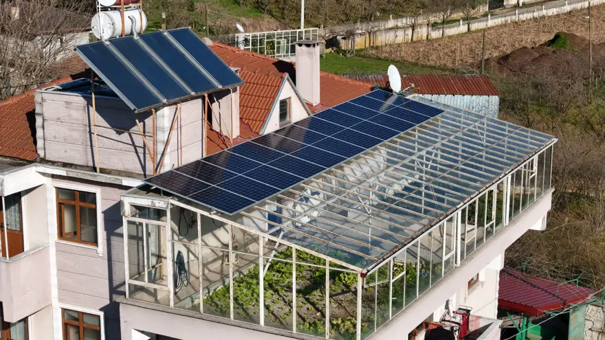 Evinin terasına sera kurdu: 4 mevsim sebze meyve yetiştiriyor 1