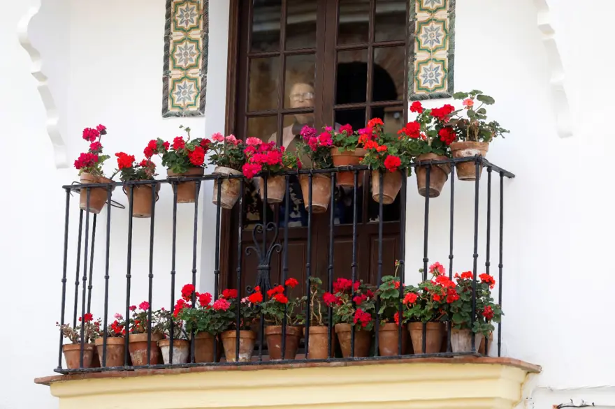 İspanya ve İtalya geri dönüyor 1