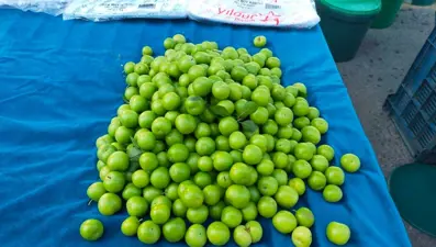 Bakır, potasyum, fosfor, demir deposu: Yazın gözdesi tezgahta