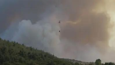 Bursa, Hatay, Amasya, Diyarbakır ve Denizli'de orman yangınları