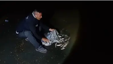 Bir ton inci kefali yakalandı