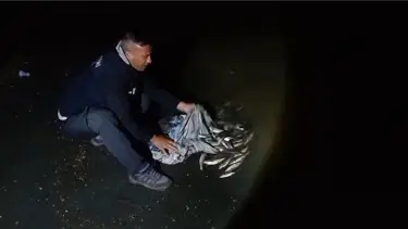 Bir ton inci kefali yakalandı