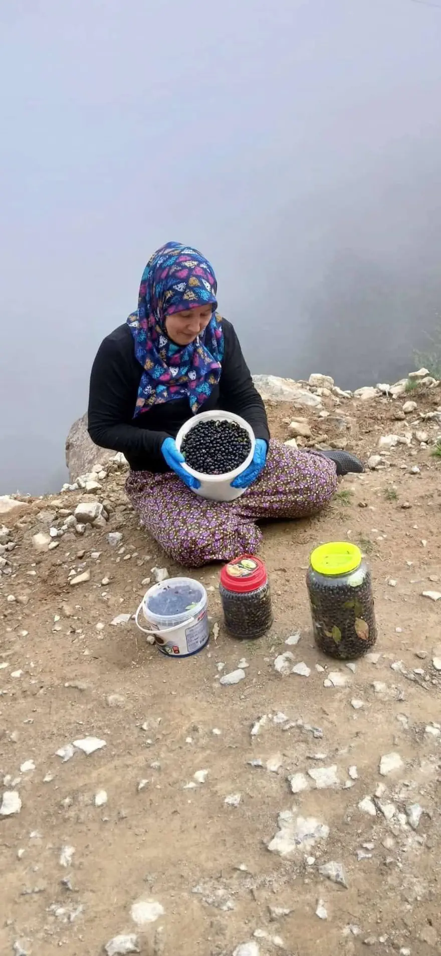 Orman kenarında kendiliğinden yetişiyor: Erken saatte topluyorlar 4 Orman kenarında kendiliğinden yetişiyor: Erken saatte topluyorlar 4