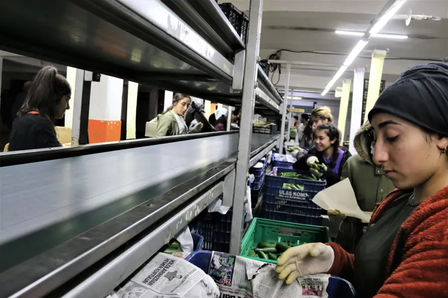 Rusya operasyonu Antalya halinde fiyatları yarıya düşürdü 5