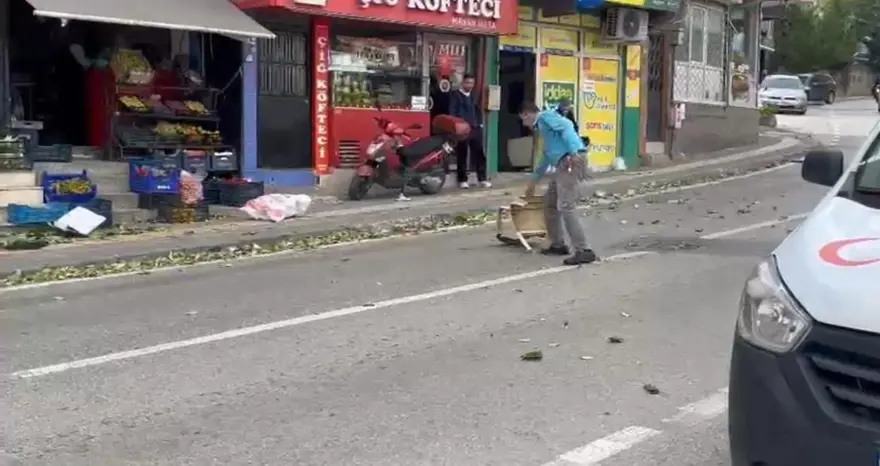 Bursa'yı lodos vurdu: Ağaçlar devrildi, teleferik seferleri durdu 4 Bursa'yı lodos vurdu: Ağaçlar devrildi, teleferik seferleri durdu 4