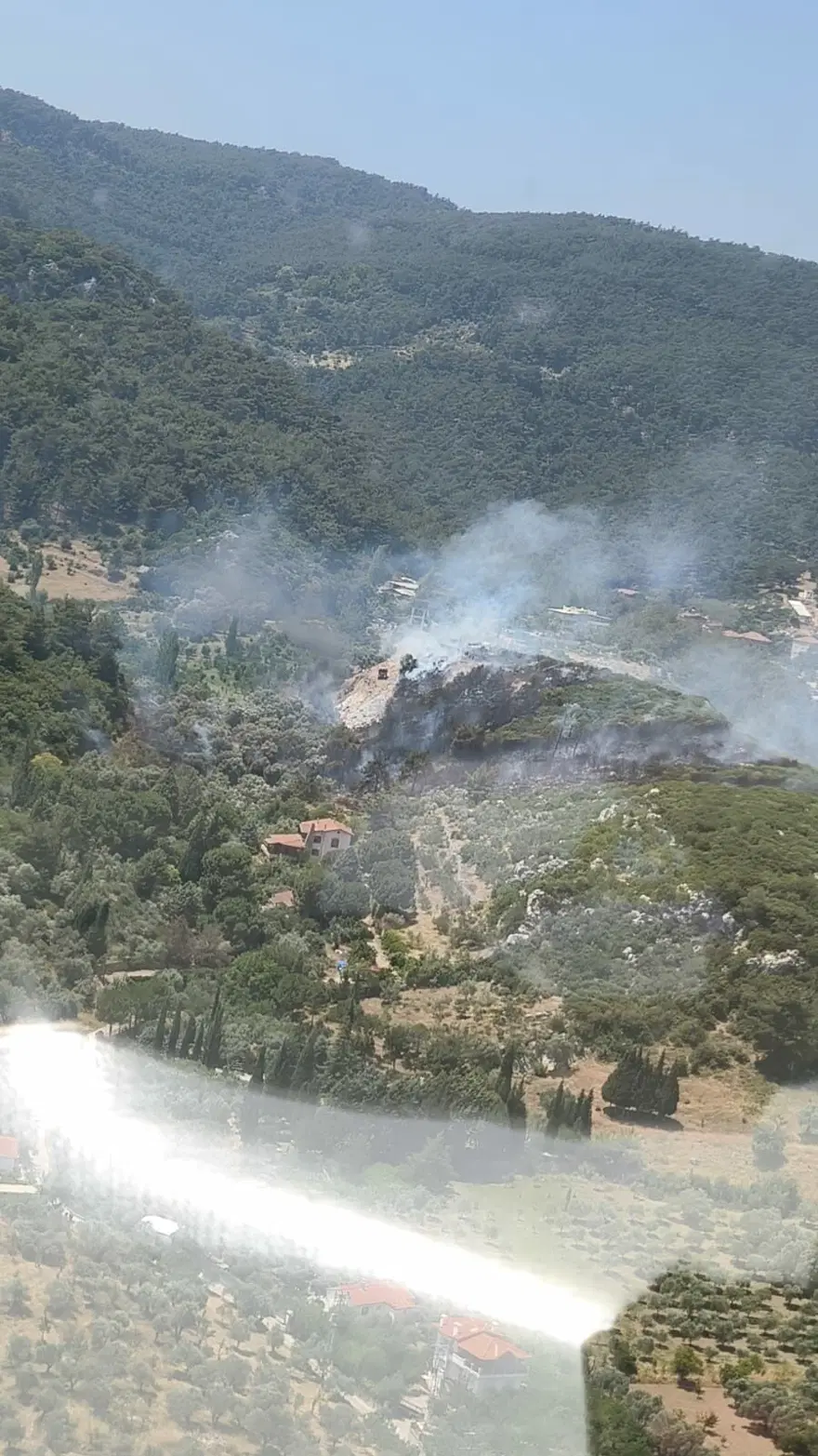 İzmir'de orman yangını 5