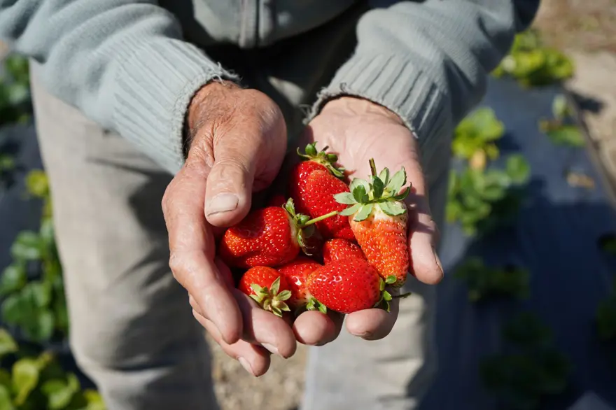 "ÇOCUKLUK HAYALİMDİ" 4