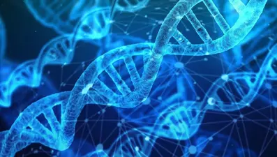 DNA yaşam süresi hakkında ipuçları veriyor