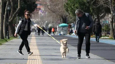 Tekirdağ'da bahar havası