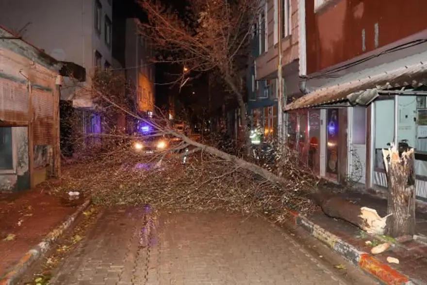 Fırtına birçok ilde etkili oldu: İstanbul'da gemi karaya oturdu 8