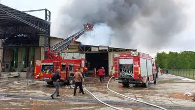 Sakarya'daki fabrika yangını kontrol altında
