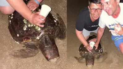 Caretta carettaya eziyet edip sosyal medyadan paylaştılar