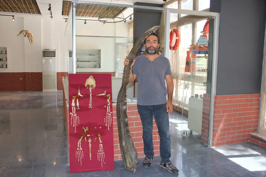 Çukurova'nın ilk deniz canlıları müzesi Mersin'de açılıyor 6