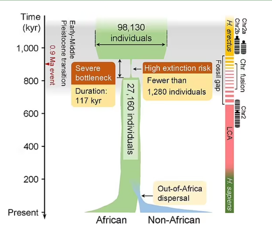 İnsanların soyu 900 bin yıl önce tükeniyordu: Yalnızca bin 280 kişi üreyerek nesli devam ettirdi 1