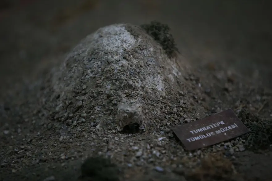 Kırklareli'nde Aşağıpınar'daki 8 bin yıllık köy yaşamı 'zaman tüneli' ve açık hava müzesinde tanıtılacak 2