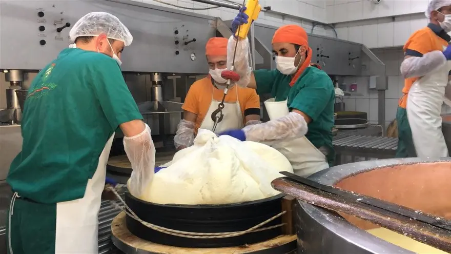 Kars'ta dünyaca ünlü gravyer peynirinin üretimine başlandı 10