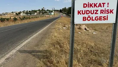 Şanlıurfa'da kuduz alarmı: 3 kişiye köpek saldırdı, köy karantinaya alındı