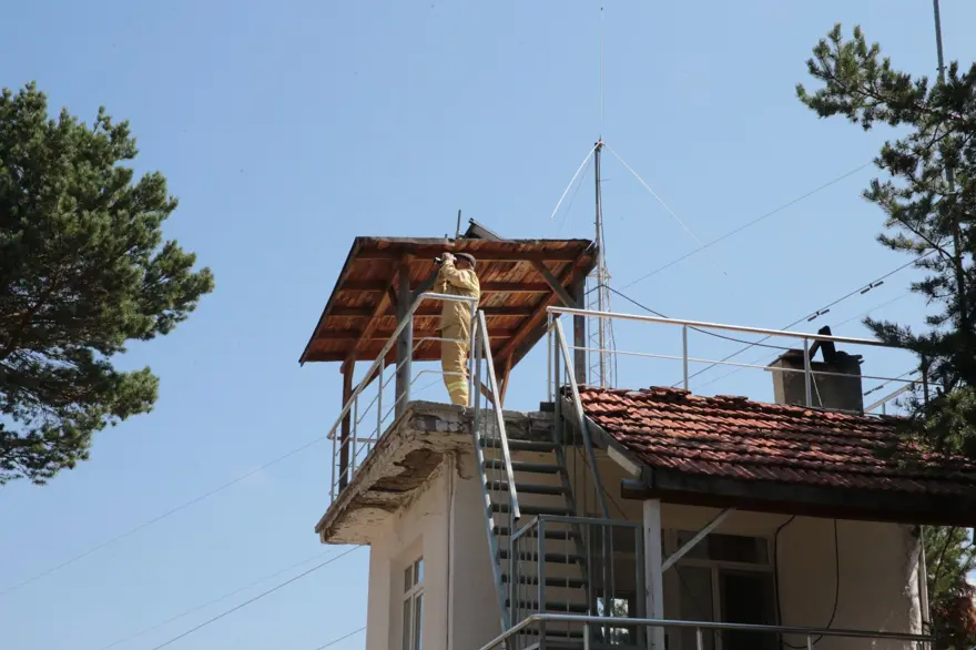 Ormanlardan 31 yıldır gözünü ayırmıyor 2