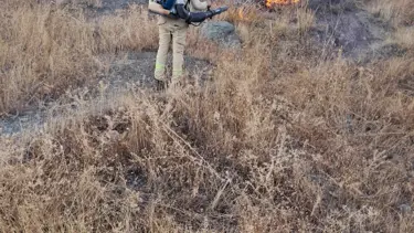 Siirt'te örtü yangını