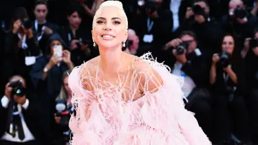 Lady Gaga'ya çalıntı suçlaması