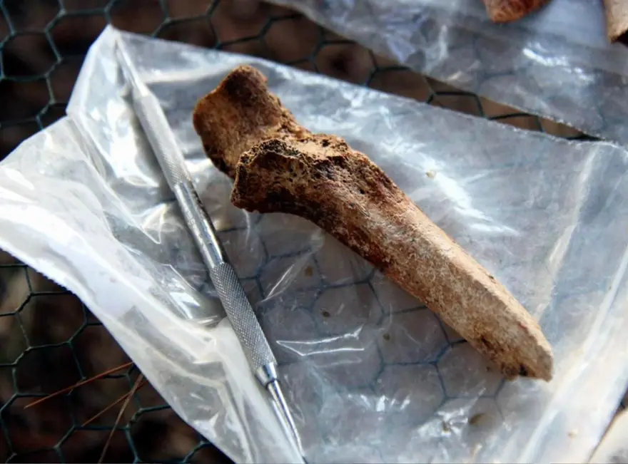 17 yıldır çalışmalar sürüyor! Kutsal suyun içinden çıkan 3 bin yıllık fındık 1