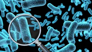 Bakterilerle ilgili ilginç keşif: Kışa hazırlık yapıyorlar! Bakterilerle ilgili ilginç keşif: Kışa hazırlık yapıyorlar!