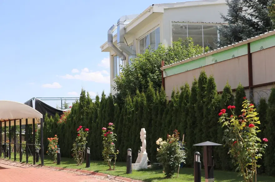 Ankara'da mahalle arası hayvanat bahçesi: Komşular kükremelerden rahatsız 7
