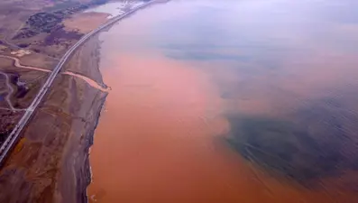 Van Gölü kahverengiye boyandı