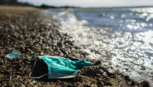 Maske uyarısı: Akdeniz'deki denizanası sayısını geçebilir