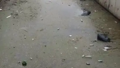 Gemlik körfezi çöplüğe döndü