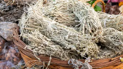 Stresi azaltıyor, hafızayı güçlendiriyor: Mucize bitkinin faydaları kanıtlandı