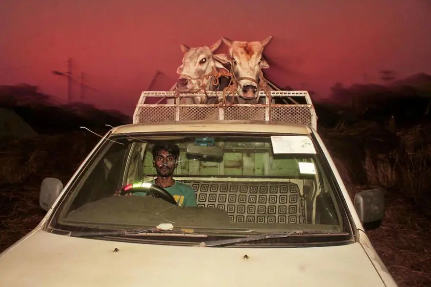 2021 Urban Fotoğraf Yarışması’nın finalistleri 34 2021 Urban Fotoğraf Yarışması’nın finalistleri 34