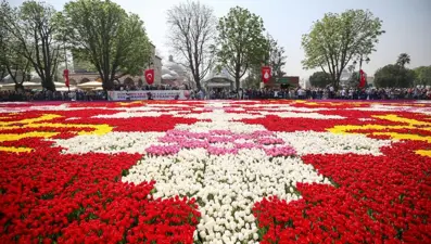 Dünyanın en büyük canlı lale halısı İstanbul'da
