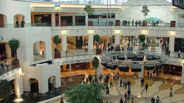 Bir gün, 81 bin kişiye bedel