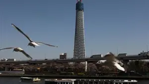 Dünyanın en yüksek 2. binası