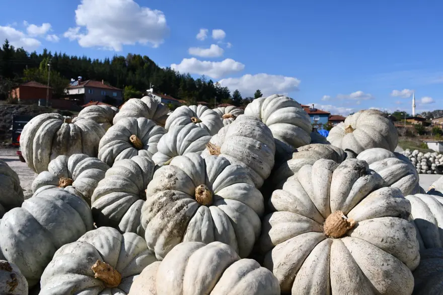 1 yıl raf ömrü var: "Sanki kestane yemiş gibi oluyorsunuz" 2