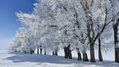 Batıda bahar doğuda zemheri soğukları! Termometreler eksi 23,8 dereceyi gösterdi