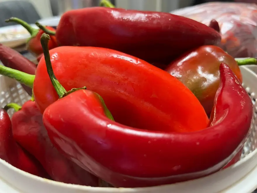 Kış için kolları sıvadılar: Titizlikle hazırlıyorlar 1