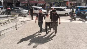 Petshop cinayetinde dört gözaltı: Adliyeye sevk edildiler