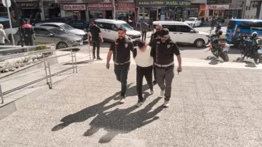 Petshop cinayetinde dört gözaltı: Adliyeye sevk edildiler