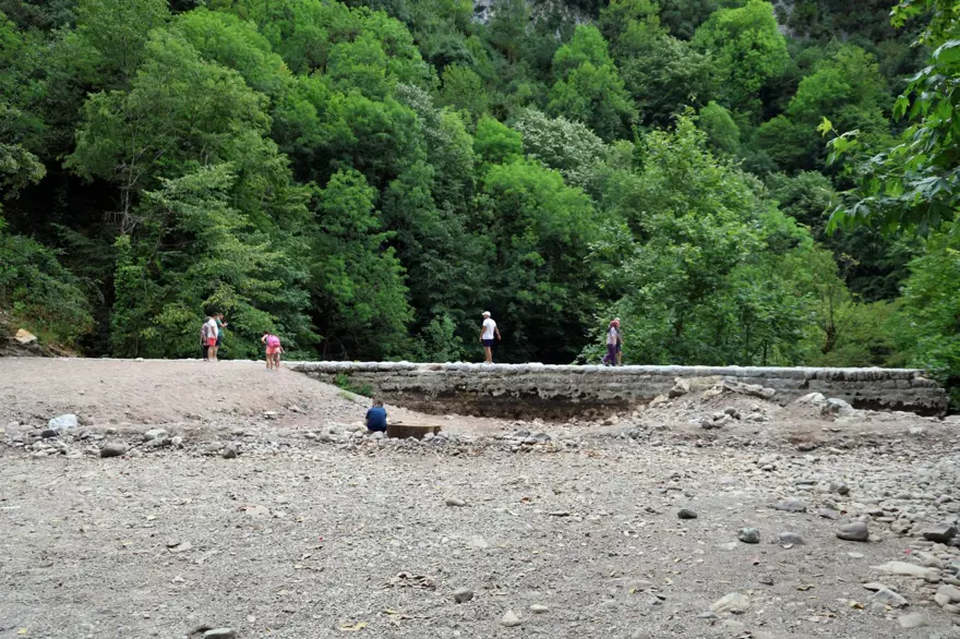 Sakarya’da korkutan manzara: Doğaseverlerin gözdesi kurudu 5