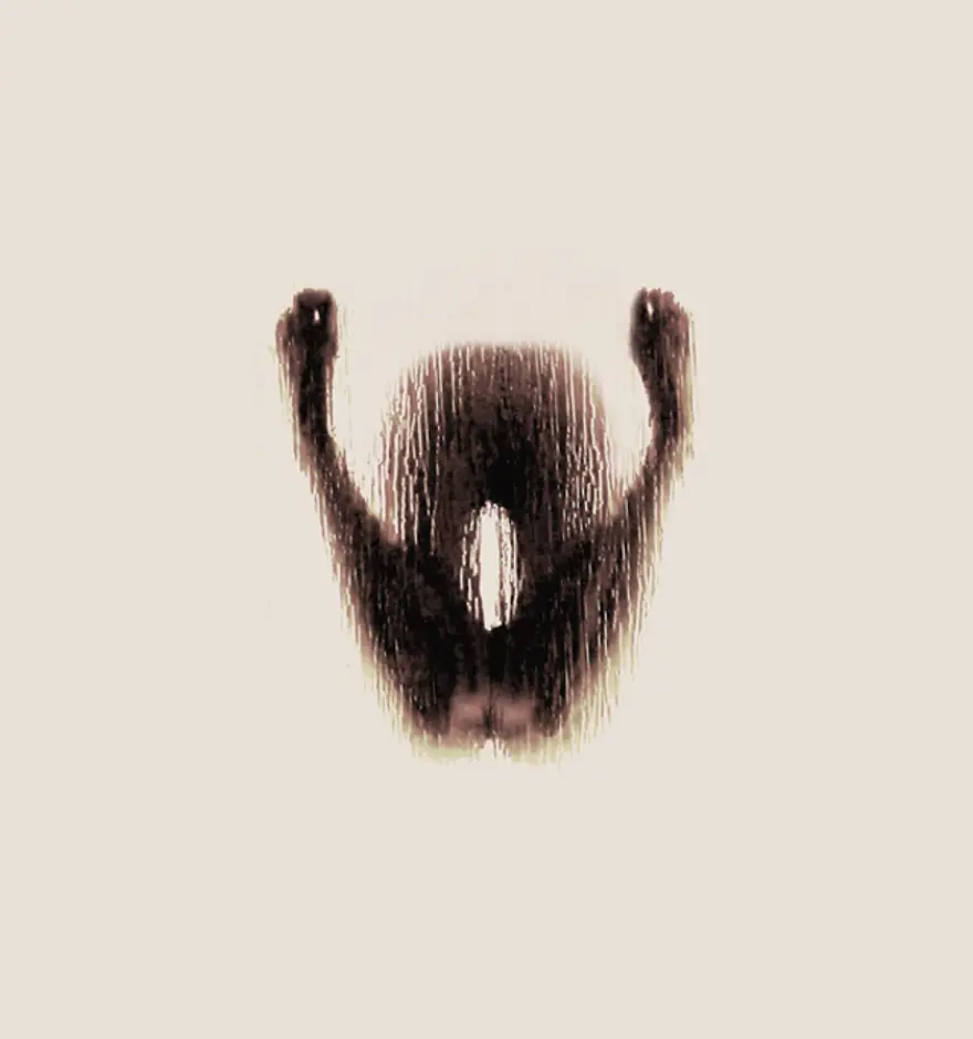 W 22