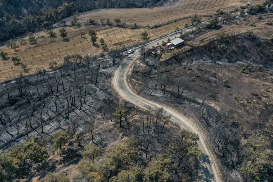 Çanakkale'de orman yangını kontrol altında 25