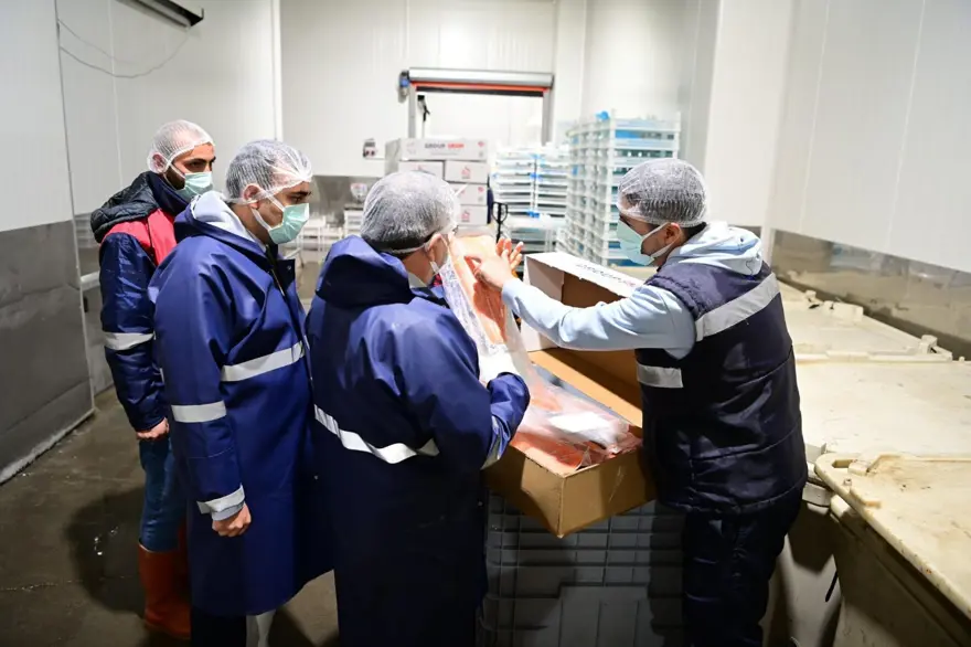 Sinop ülke liderliğini sürdürüyor: En önemli üretim merkezi 2