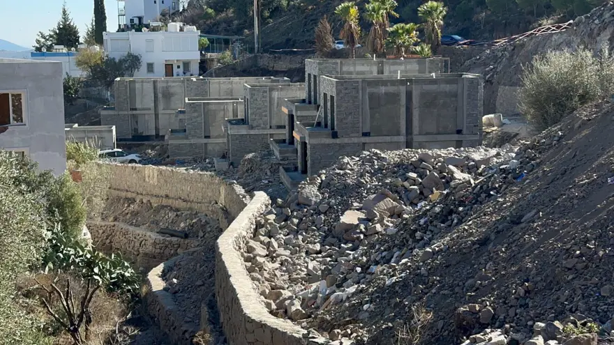 Şarkıcı Suavi'nin arsasında kesilen ağaçlarla ilgili inceleme başlatıldı 3