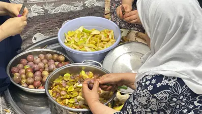 Dut, erik, kayısı ve elmadan yapılıyor: Güneşte kurutulup kış için hazırlanıyor