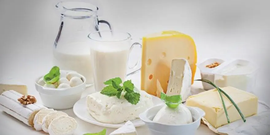 B12 VİTAMİNİ İÇEREN BESİNLER 2