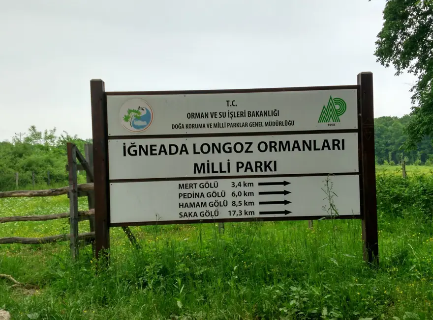 İstanbul çevresindeki en iyi kamp alanları 38 İstanbul çevresindeki en iyi kamp alanları 38
