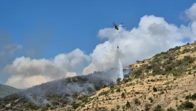 Tekirdağ'da makilik alanda yangın