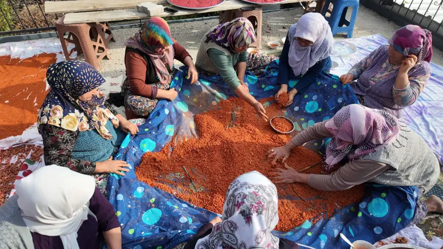 16 çeşit malzemeden yapılıyor, 16 gün yoğuruluyor: "Bunu içen grip olmaz" 4 16 çeşit malzemeden yapılıyor, 16 gün yoğuruluyor: "Bunu içen grip olmaz" 4